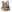 Warrior Detachable Front Panel MK1 (3x 5.56 Mag Pouches and 2 Utility Pouches) Multicam