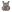 Warrior Detachable Front Panel MK1 (3x 5.56 Mag Pouches and 2 Utility Pouches) Multicam
