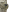 Warrior Drop Leg Holster MultiCam