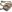 Warrior Falcon Chest Rig MultiCam