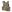 Warrior QRC DFP TM4 Quad Release Plate Carrier Combo with Detachable Triple 5.56 M4 Covered Mag Panel