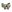 Warrior Low Profile Direct Action Mk1 Shooters Belt MultiCam