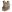 Warrior QRC DFP TM4 Quad Release Plate Carrier Combo with Detachable Triple 5.56 M4 Covered Mag Panel