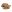Warrior Enforcer Hard Knuckle Glove Coyote Tan
