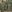 Warrior Single DA 9mm Pistol Olive Drab