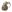 Warrior Helmet Cargo Pack MultiCam
