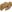 Warrior Enforcer Hard Knuckle Glove Coyote Tan