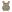 Warrior LPC V2 DFP TMOP Low Profile Plate Carrier Combo with Detachable Triple 5.56 Molle Open Mag Panel