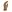 Warrior Firestorm Hard Knuckle Glove Coyote Tan