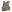 Warrior QRC DFP TM4 Quad Release Plate Carrier Combo with Detachable Triple 5.56 M4 Covered Mag Panel