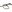 Warrior Tango Personal Retention Lanyard Multicam