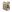 Warrior LPC V2 DFP TMOP Low Profile Plate Carrier Combo with Detachable Triple 5.56 Molle Open Mag Panel