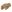 Warrior Firestorm Hard Knuckle Glove Coyote Tan