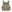 Warrior QRC DFP TM4 Quad Release Plate Carrier Combo with Detachable Triple 5.56 M4 Covered Mag Panel