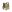 Warrior Recon Plate Carrier Base (Holds SAPI Plates)